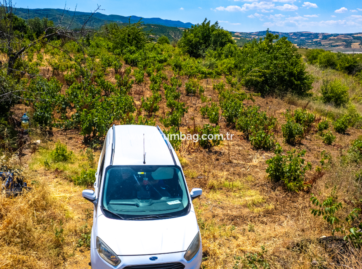 Price Dropped Opportunity 2.804 M2 Vineyard For Sale In Naip