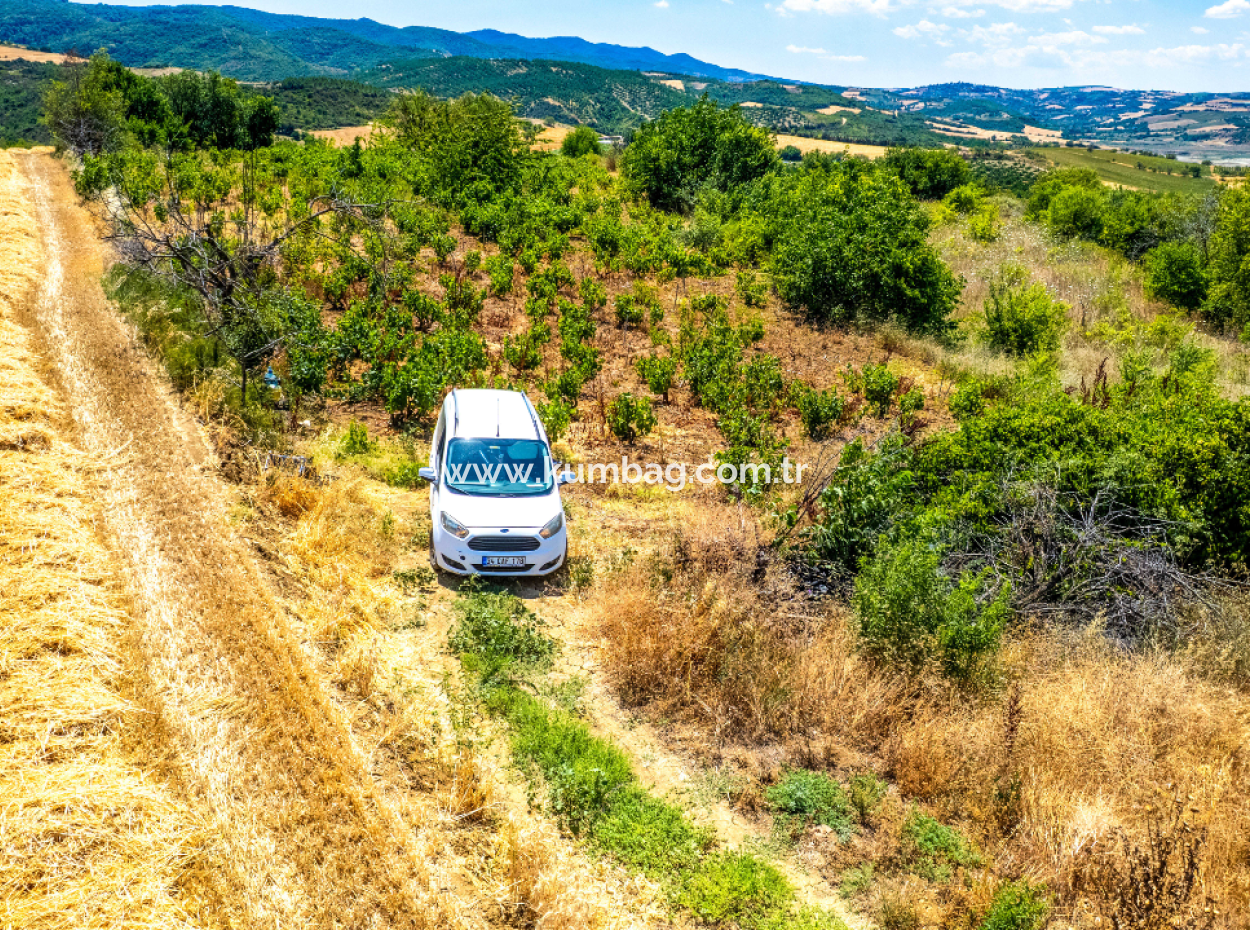 Price Dropped Opportunity 2.804 M2 Vineyard For Sale In Naip