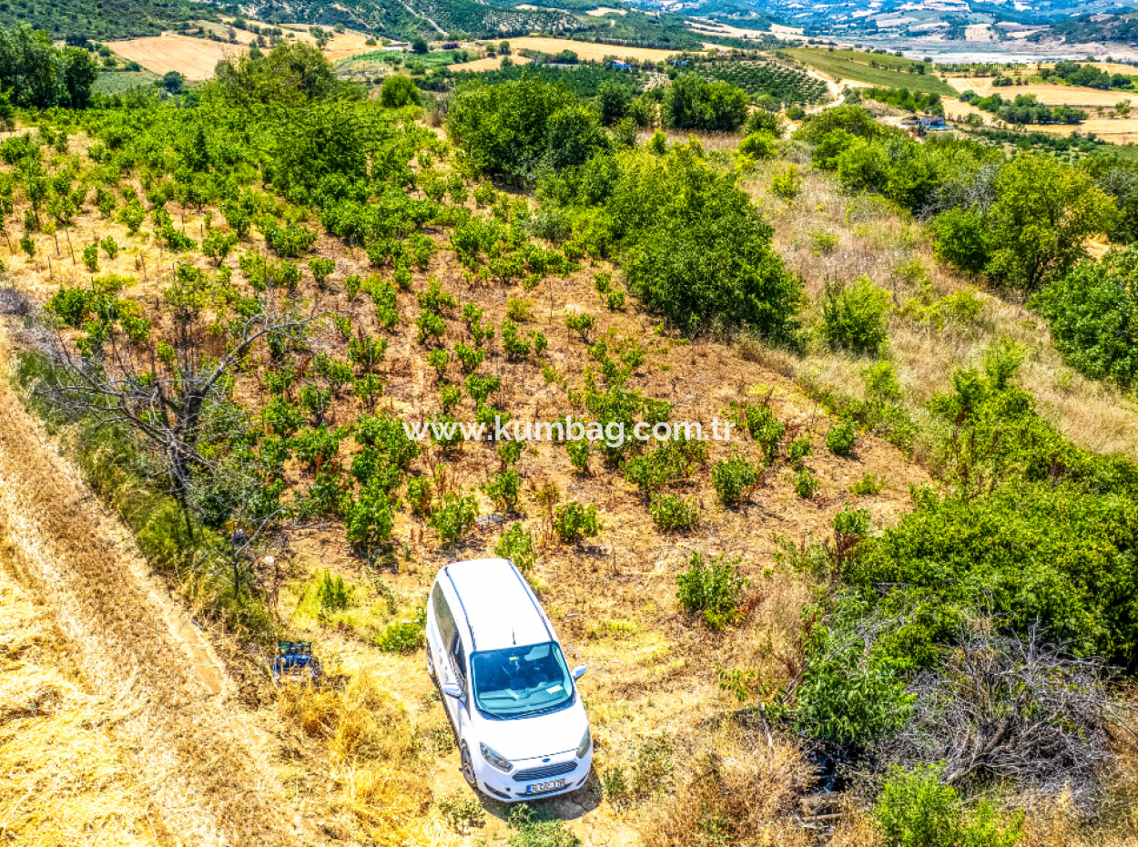 Price Dropped Opportunity 2.804 M2 Vineyard For Sale In Naip