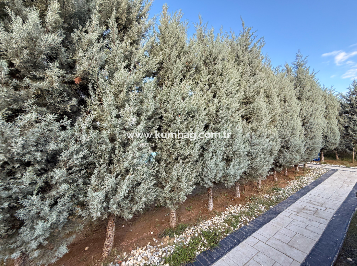 2 1 Flats For Sale With Garden In Boutique Site With Pool In Kumbağ