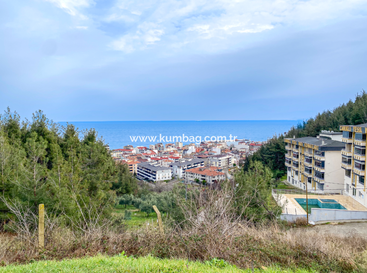 Fully Furnished Luxury 1 1 Flat For Rent In Kumbağ Pool Site