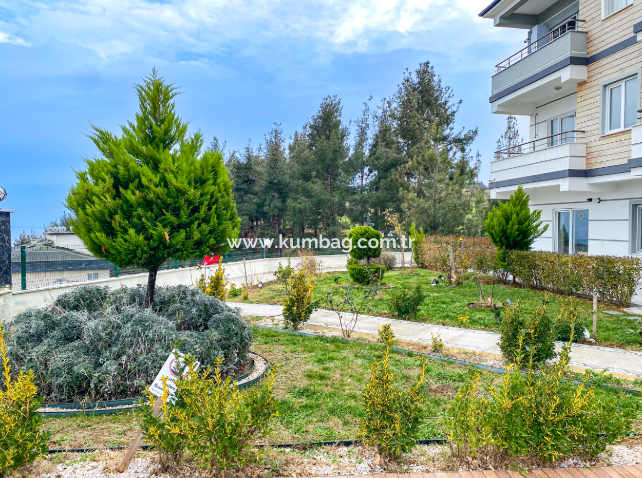 Fully Furnished Luxury 1 1 Flat For Rent In Kumbağ Pool Site