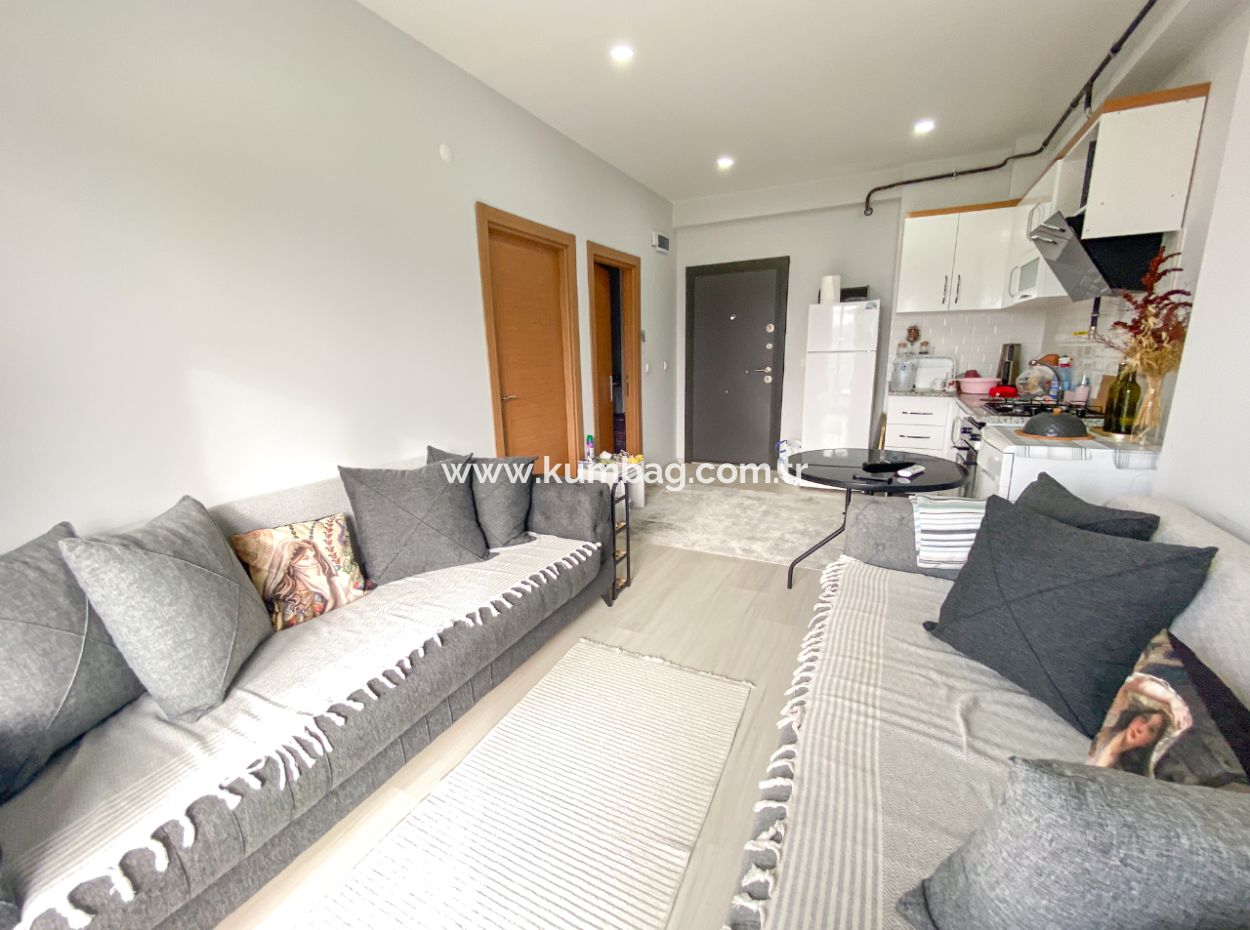 Fully Furnished Luxury 1 1 Flat For Rent In Kumbağ Pool Site