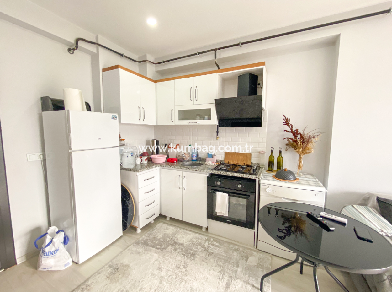 Fully Furnished Luxury 1 1 Flat For Rent In Kumbağ Pool Site