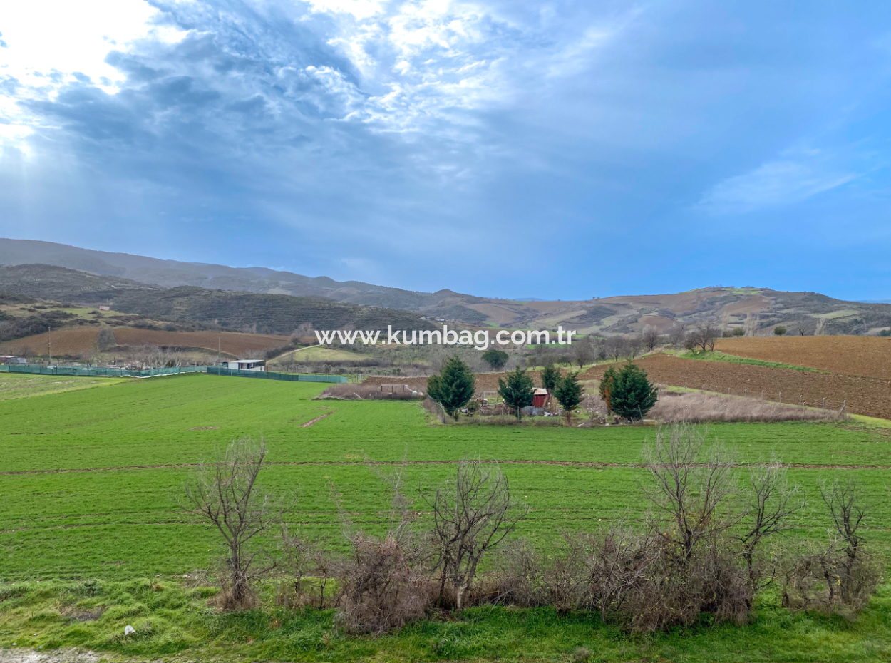 Fully Furnished Luxury 1 1 Flat For Rent In Kumbağ Pool Site