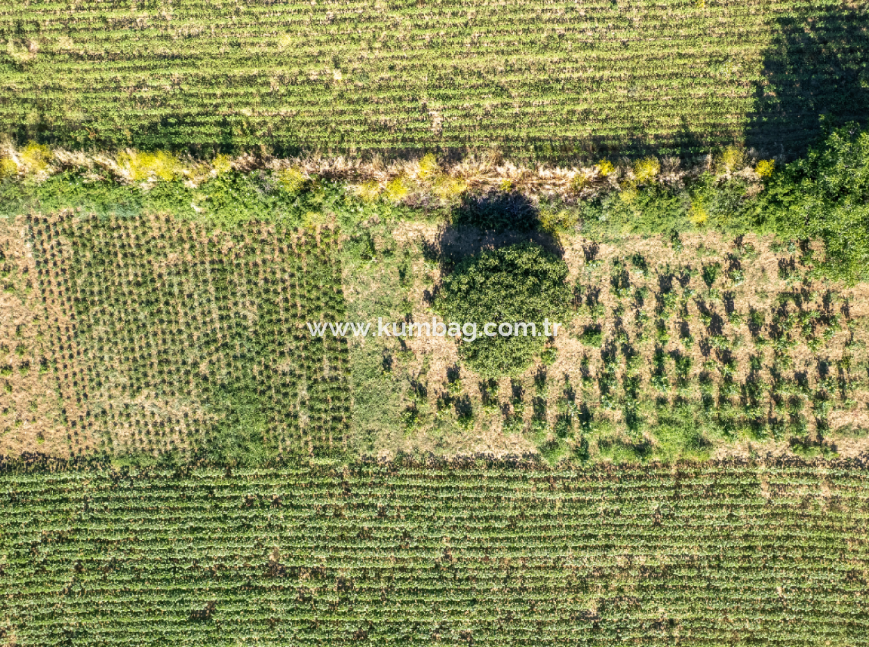 Land For Sale With 308 M2 Residential Zoning In A Rapidly Developing Region In Kumbağ