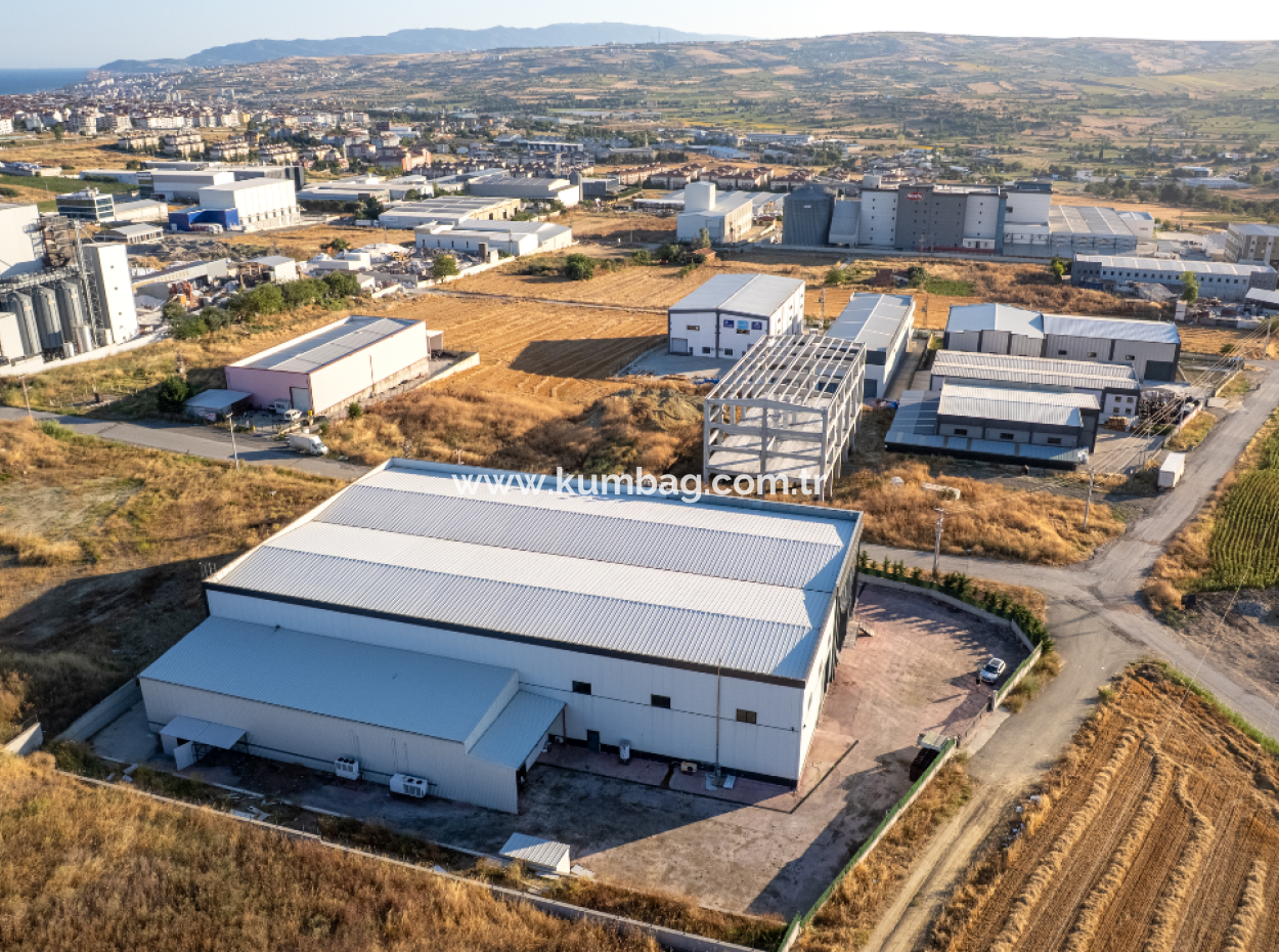 Production Facility Suitable For Food Production In Smoke-Free Industrial Zone