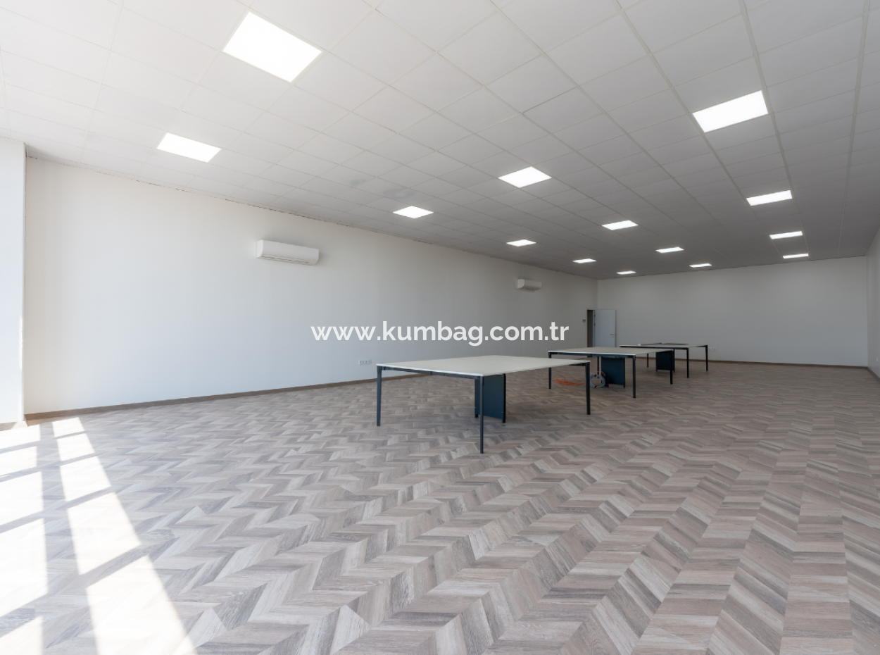Production Facility Suitable For Food Production In Smoke-Free Industrial Zone