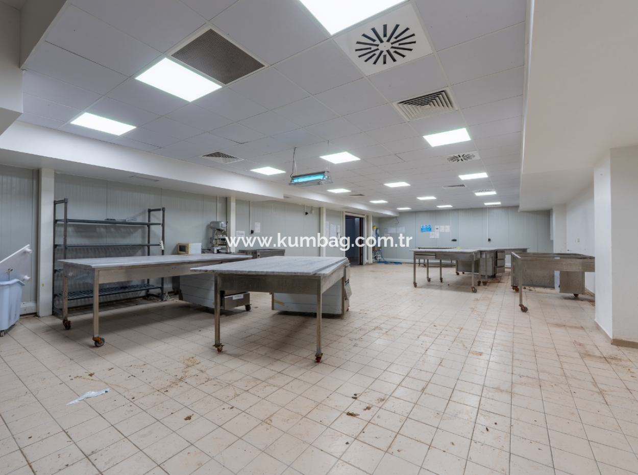 Production Facility Suitable For Food Production In Smoke-Free Industrial Zone