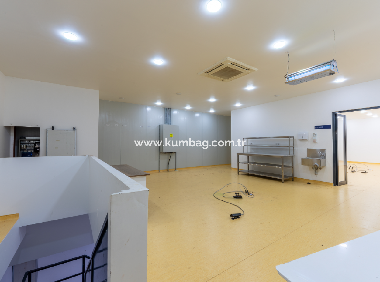 Production Facility Suitable For Food Production In Smoke-Free Industrial Zone