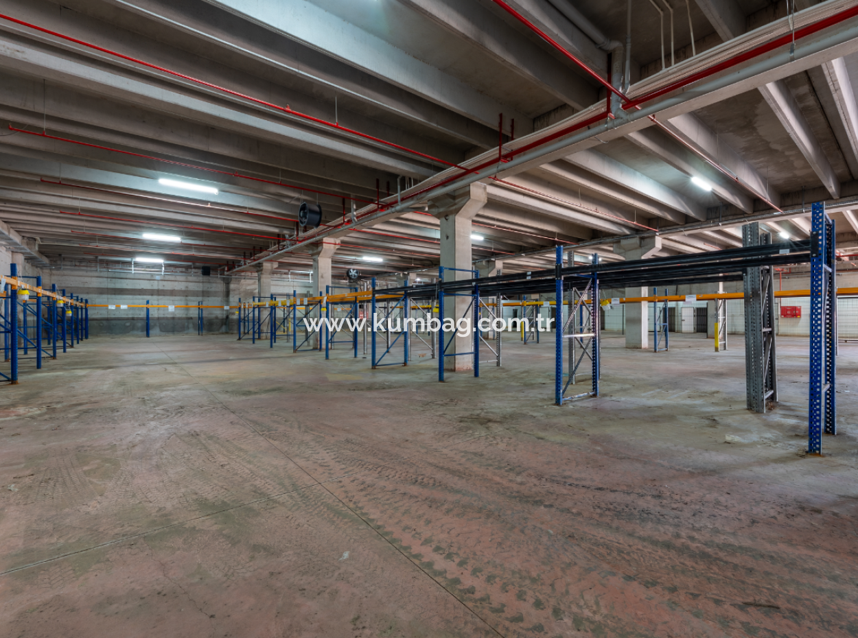 Production Facility Suitable For Food Production In Smoke-Free Industrial Zone