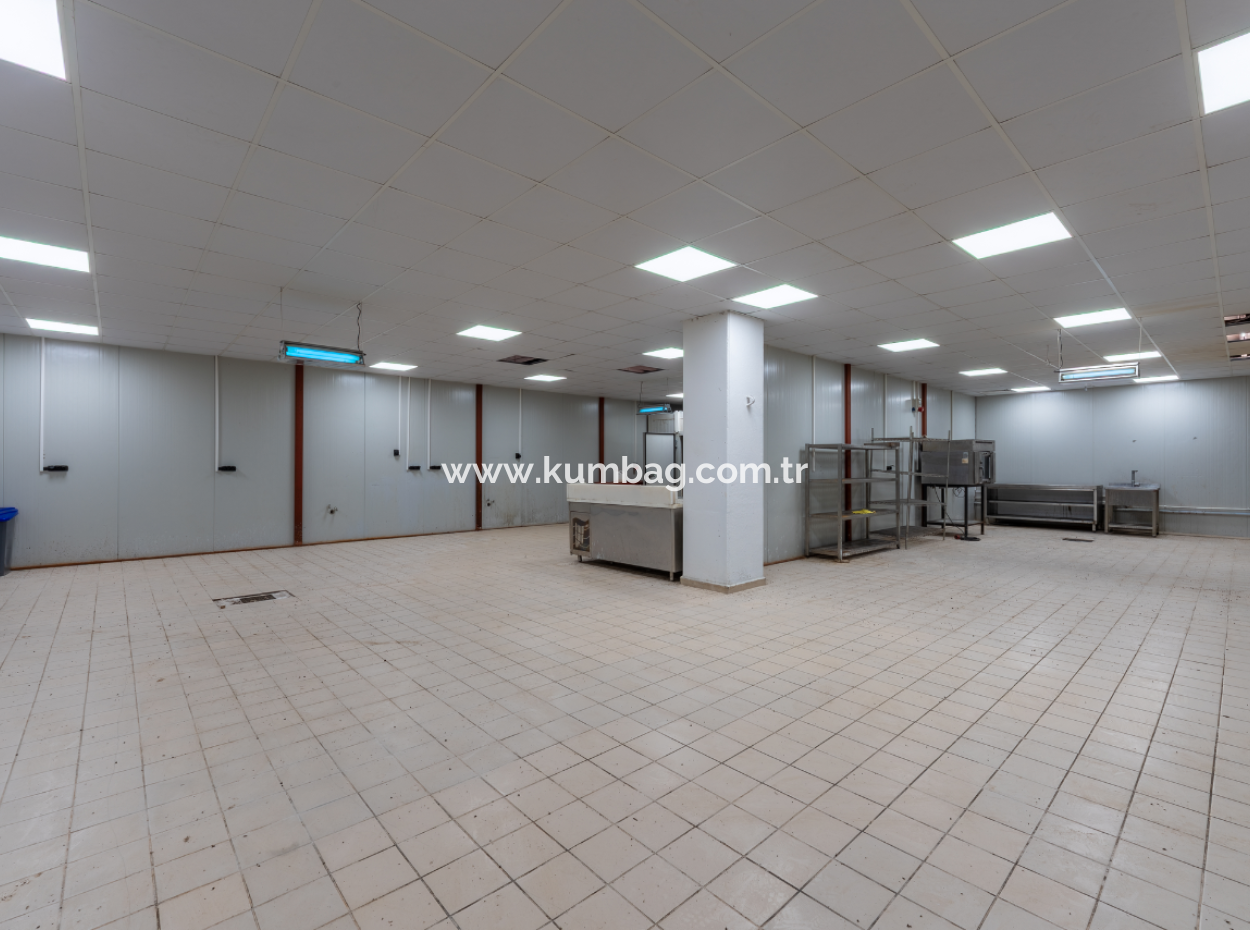 Production Facility Suitable For Food Production In Smoke-Free Industrial Zone