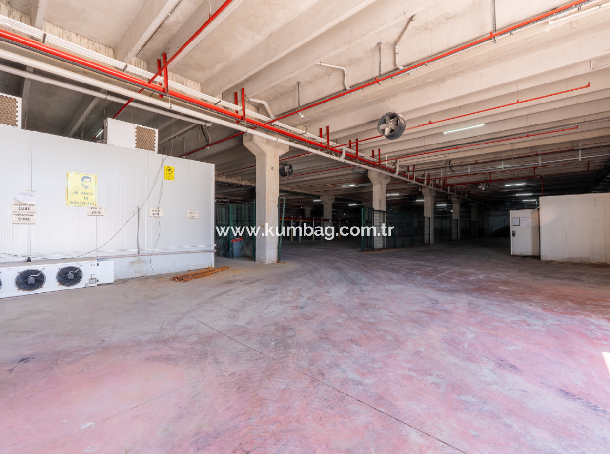 Production Facility Suitable For Food Production In Smoke-Free Industrial Zone