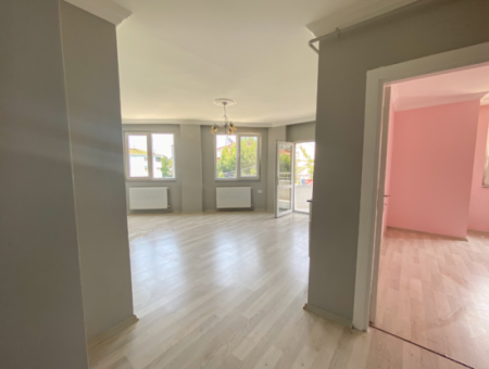 Spacious 1 1 Flat For Rent Close To Kumbağ Market Street