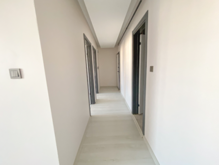 Spacious Luxury For Sale 2 1 Apartments In Central Location In Kumbagh