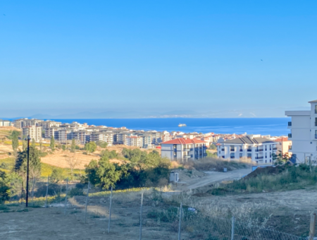 Luxury 1 1 Apartment For Sale With Sea View Garden In Central Location