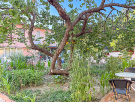  3 1 Villa With Garden For Sale In A Seafront Complex In Kumbag