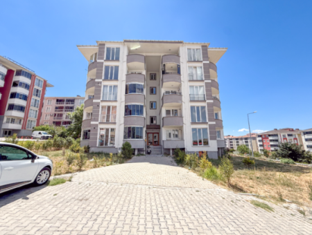 100Th Anniversary Centrally Located Spacious 1 1 Apartment