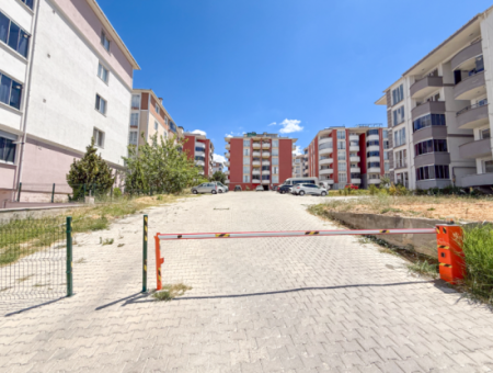 100Th Anniversary Centrally Located Spacious 1 1 Apartment