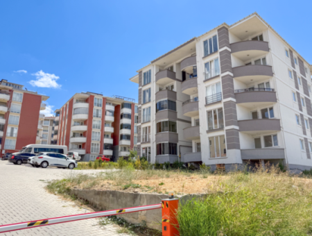 100Th Anniversary Centrally Located Spacious 1 1 Apartment