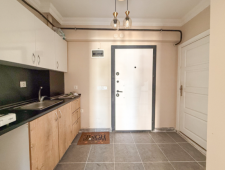 100Th Anniversary Centrally Located Spacious 1 1 Apartment