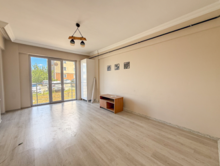 100Th Anniversary Centrally Located Spacious 1 1 Apartment