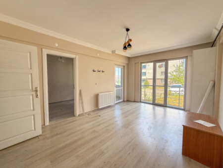 100Th Anniversary Centrally Located Spacious 1 1 Apartment