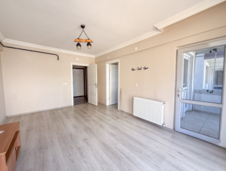 100Th Anniversary Centrally Located Spacious 1 1 Apartment