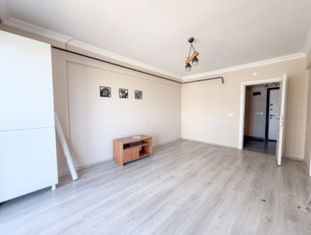 100Th Anniversary Centrally Located Spacious 1 1 Apartment