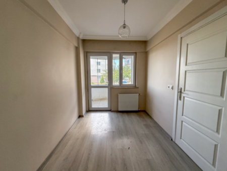100Th Anniversary Centrally Located Spacious 1 1 Apartment