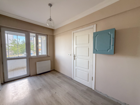 100Th Anniversary Centrally Located Spacious 1 1 Apartment