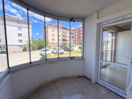 100Th Anniversary Centrally Located Spacious 1 1 Apartment