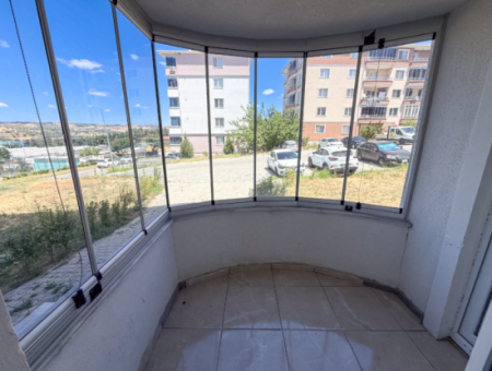 100Th Anniversary Centrally Located Spacious 1 1 Apartment
