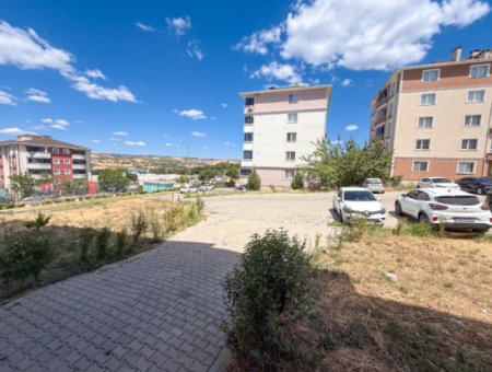 100Th Anniversary Centrally Located Spacious 1 1 Apartment
