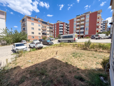 100Th Anniversary Centrally Located Spacious 1 1 Apartment