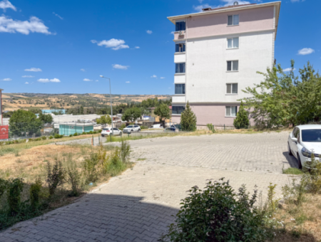 100Th Anniversary Centrally Located Spacious 1 1 Apartment
