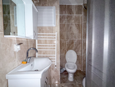100Th Anniversary Centrally Located Spacious 1 1 Apartment