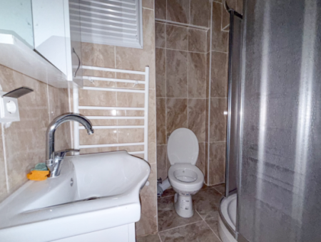 100Th Anniversary Centrally Located Spacious 1 1 Apartment