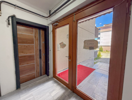 100Th Anniversary Centrally Located Spacious 1 1 Apartment
