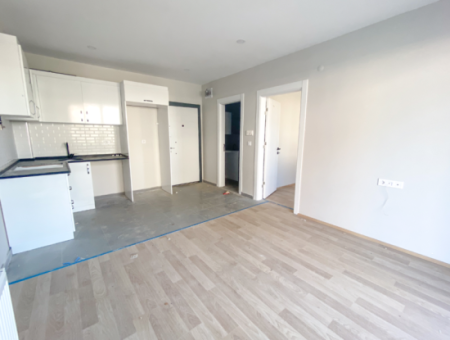 Luxury 1 1 Apartments For Sale Near The Sea In A Complex With Kumbag Pool