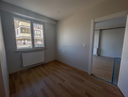 Luxury 1 1 Apartments For Sale Near The Sea In A Complex With Kumbag Pool