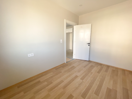 Luxury 1 1 Apartments For Sale Near The Sea In A Complex With Kumbag Pool