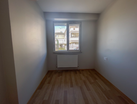 Luxury 1 1 Apartments For Sale Near The Sea In A Complex With Kumbag Pool