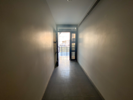 Luxury 1 1 Apartments For Sale Near The Sea In A Complex With Kumbag Pool