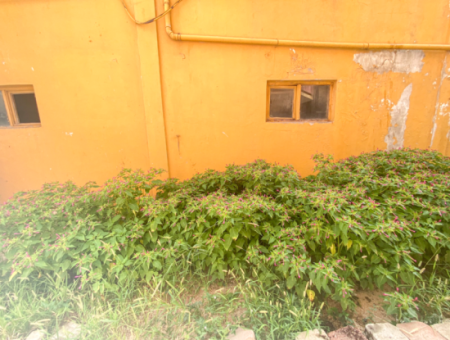 Spacious 2 1 Apartment For Sale With Garden In Central Location In Kumbag