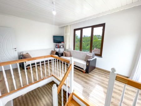 Tekirdağ Naipköy Mah. 4 1 Detached Village House And Outbuildings For Sale