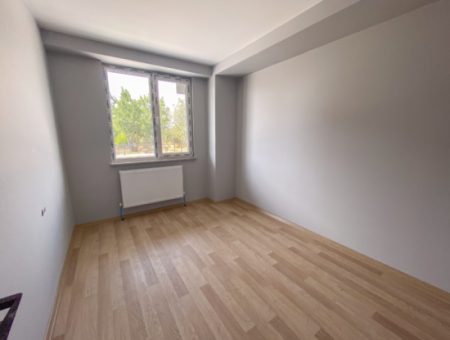 Luxury 1 1 Apartments For Sale In Kumbag Sea Side Complex With Pool