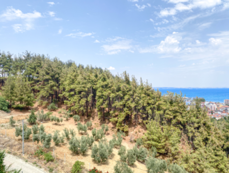 2 1 Apartment For Sale In Kumbagh With Pool Overlooking Sea And Forest