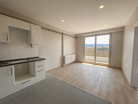 Luxury 1 1 Apartments For Sale Near The Sea In A Complex With Kumbag Pool