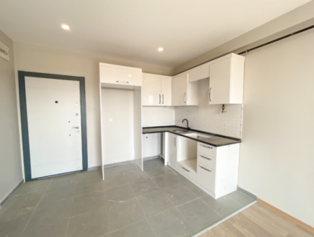 Luxury 1 1 Apartments For Sale Near The Sea In A Complex With Kumbag Pool